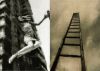 Chutes and Ladders II